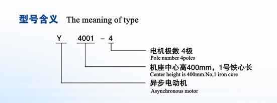 Y系列电机(H400-500)380(图1)